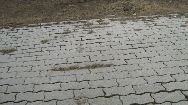 vatertag05-10 083.jpg